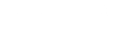 Excaliblades_Plan_de_travail_1_copie_-_white_on_clear_7